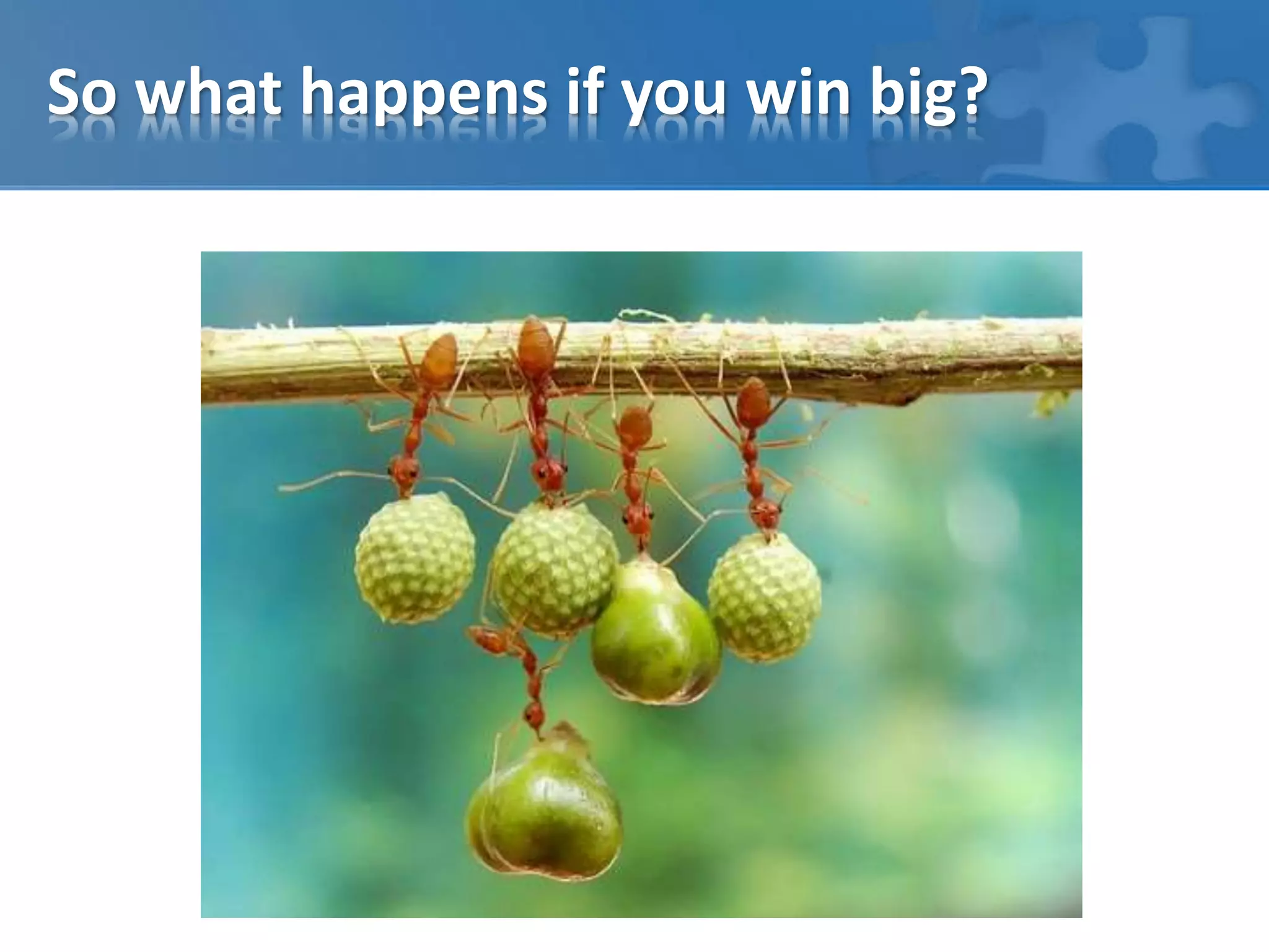 So what happens if you win big? 
 