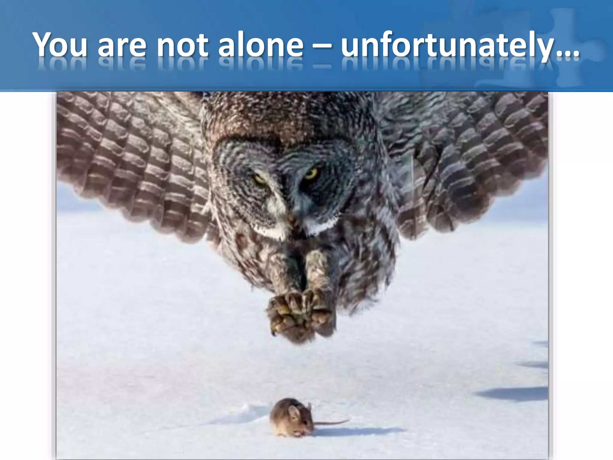 You are not alone – unfortunately… 
 