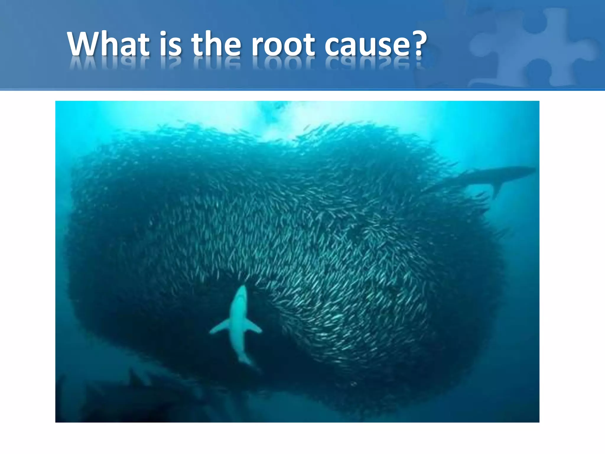 What is the root cause? 
 