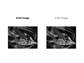 8-bit image   2-bit image
 