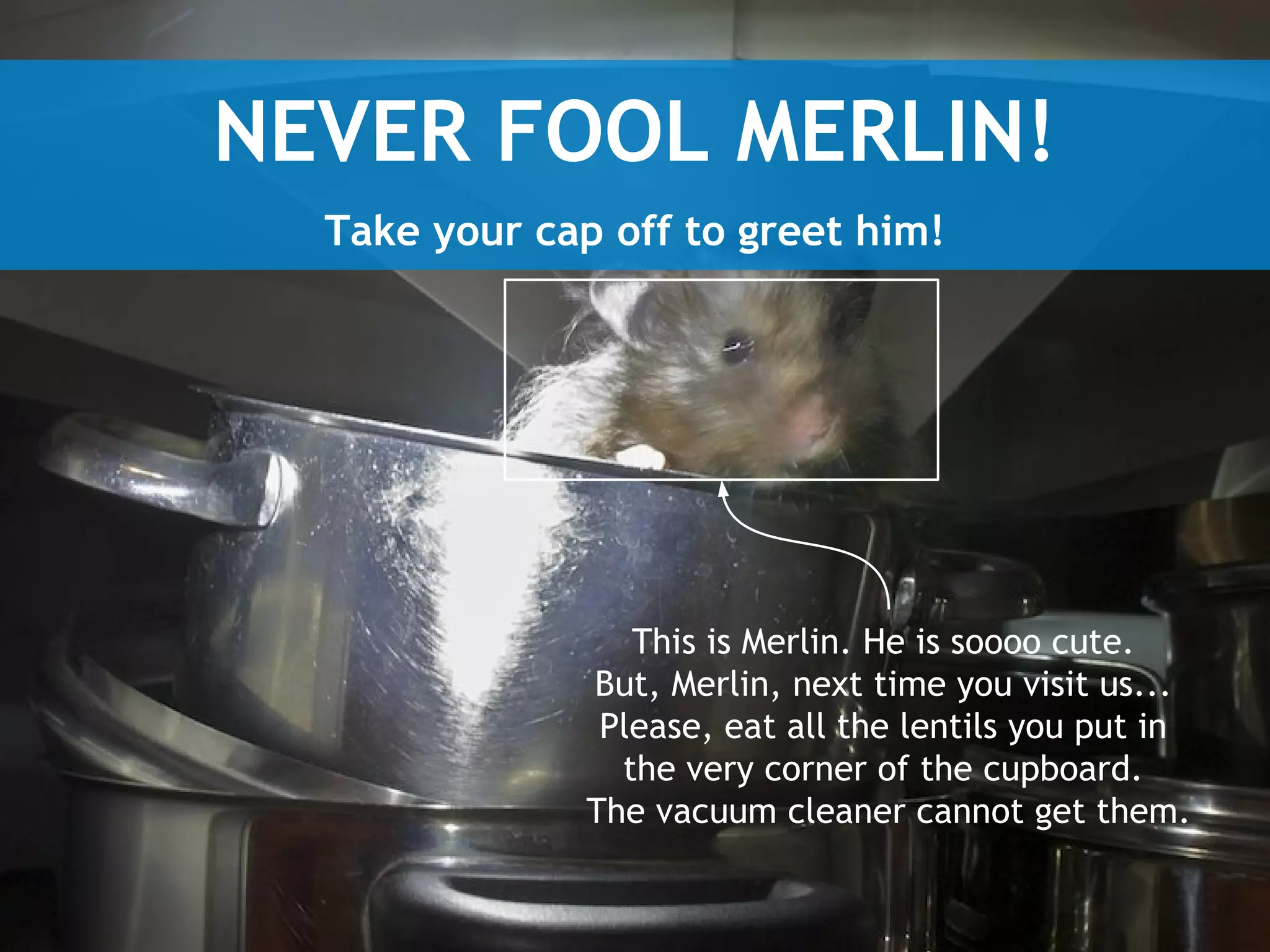 Theory!
FLP Impossibility Theorem,
Paxos Protocol Family

 