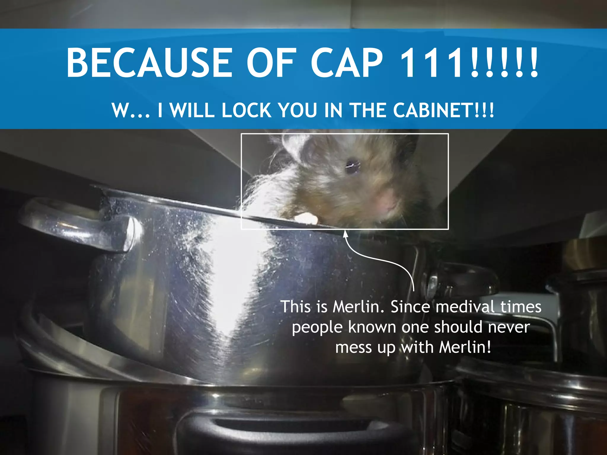 Physical level, very briefly
SQL tables, views and indices
•

B[+|*]-tree

•

Search, Insert, Delete: O(log n)

•

Clustered Index

Disk level
•

Pages

•

Caching usually handled by specialized block managers

 
