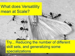 What does Versatility
mean at Scale?




              Collective ownership

     Try... Reducing the number of different
     skill sets, and generalizing some
     specializations
@yuvalyeret
 
