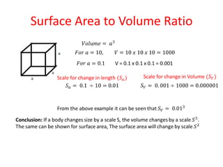 Surface Area to Volume Ratio
 