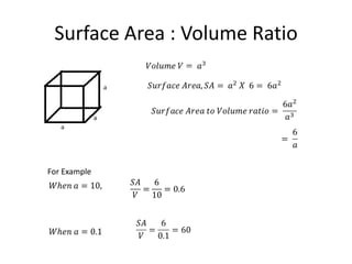 Surface Area : Volume Ratio
For Example
 