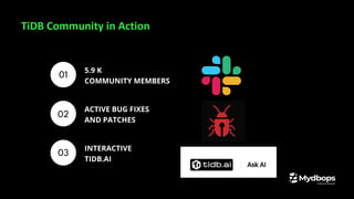 01
02
03
5.9 K
COMMUNITY MEMBERS
INTERACTIVE
TIDB.AI
ACTIVE BUG FIXES
AND PATCHES
TiDB Community in Action
 
