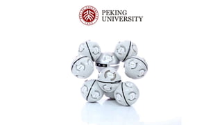 Scaling to Success for Robotics Startups