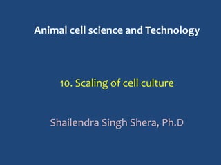 Animal cell science and Technology
10. Scaling of cell culture
Shailendra Singh Shera, Ph.D
 