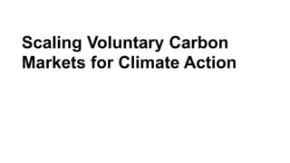 Scaling Voluntary Carbon Markets for Climate Action (1).pptx