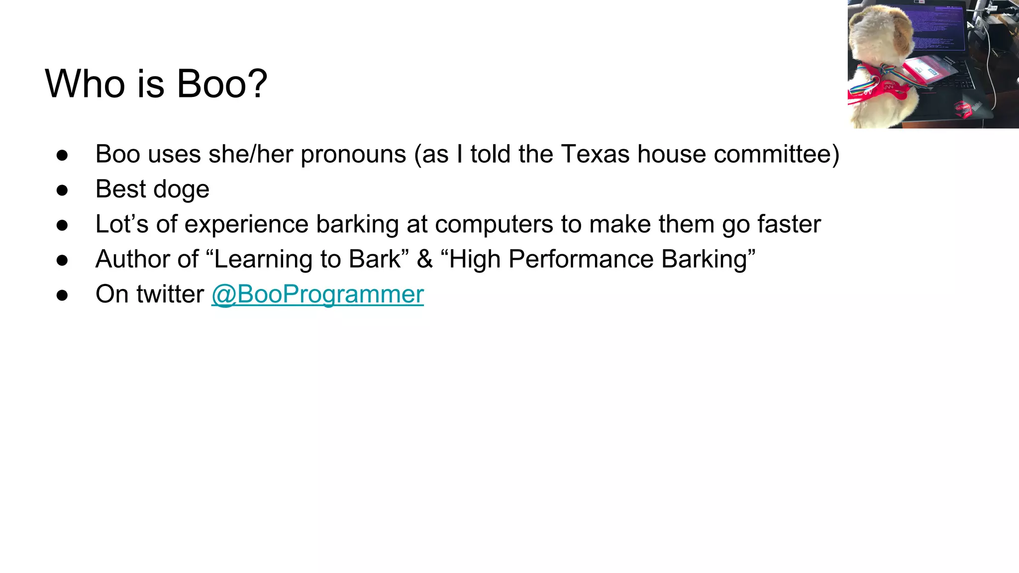 Who is Boo?
● Boo uses she/her pronouns (as I told the Texas house committee)
● Best doge
● Lot’s of experience barking at computers to make them go faster
● Author of “Learning to Bark” & “High Performance Barking”
● On twitter @BooProgrammer
 