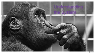 @aviranm
Understanding
the System
 