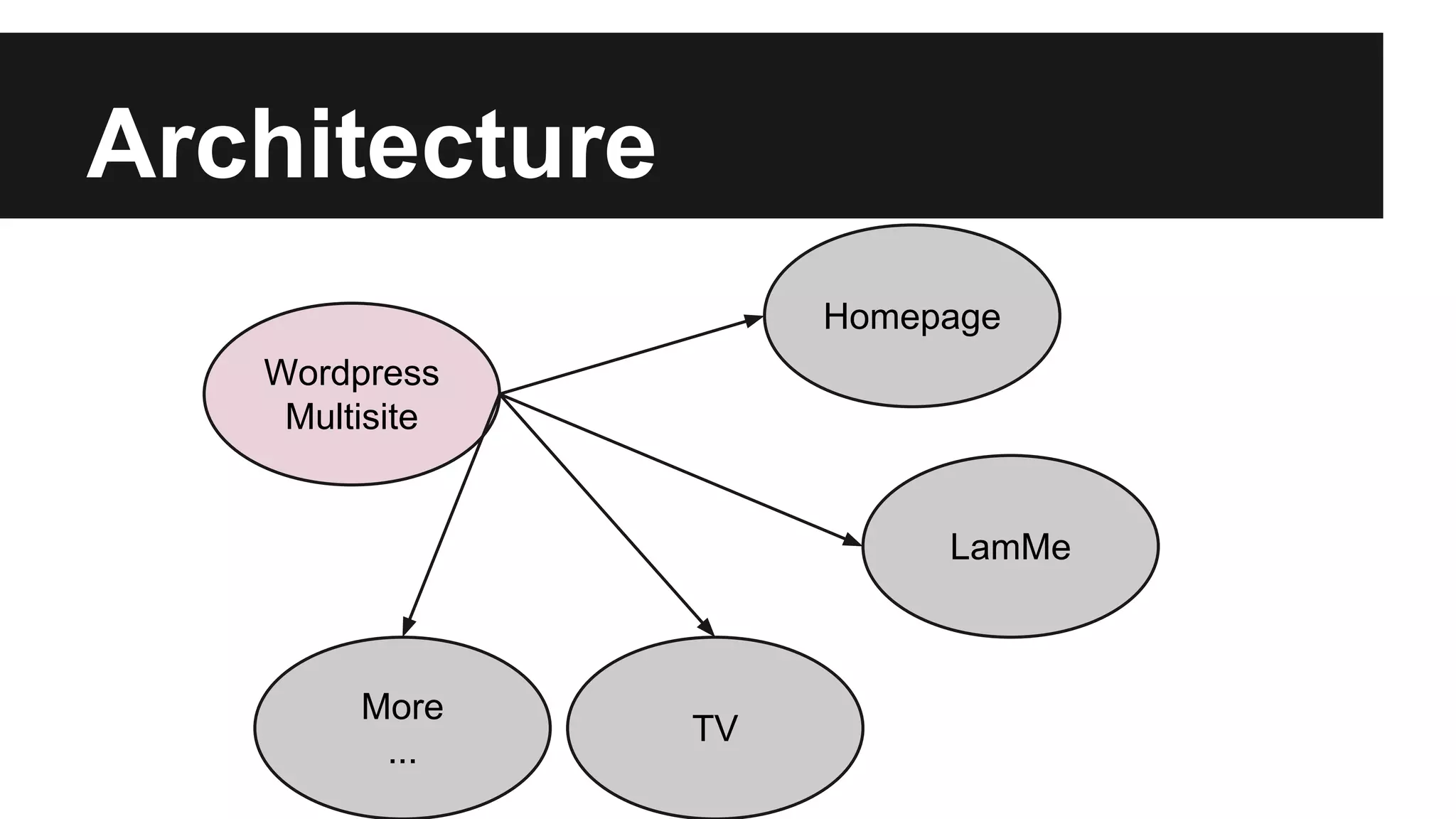 Architecture
Wordpress
Multisite
Homepage
LamMe
TV
More
...
 