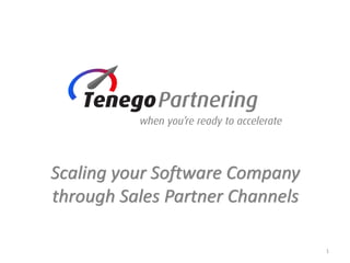 Scaling your Software Company
through Sales Partner Channels
1
 