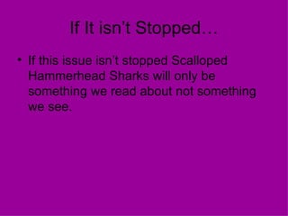 If It isn’t Stopped…
• If this issue isn’t stopped Scalloped
  Hammerhead Sharks will only be
  something we read about not something
  we see.
 