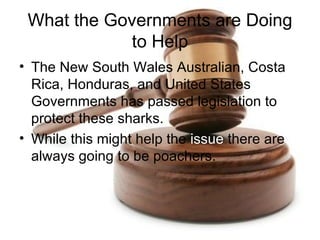 What the Governments are Doing
            to Help
• The New South Wales Australian, Costa
  Rica, Honduras, and United States
  Governments has passed legislation to
  protect these sharks.
• While this might help the issue there are
  always going to be poachers.
 