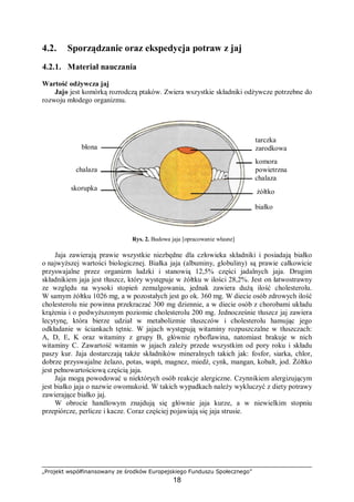 „Projekt współfinansowany ze środków Europejskiego Funduszu Społecznego”
18
4.2. Sporządzanie oraz ekspedycja potraw z jaj
4.2.1. Materiał nauczania
Wartość odżywcza jaj
Jajo jest komórką rozrodczą ptaków. Zwiera wszystkie składniki odżywcze potrzebne do
rozwoju młodego organizmu.
Rys. 2. Budowa jaja [opracowanie własne]
Jaja zawierają prawie wszystkie niezbędne dla człowieka składniki i posiadają białko
o najwyższej wartości biologicznej. Białka jaja (albuminy, globuliny) są prawie całkowicie
przyswajalne przez organizm ludzki i stanowią 12,5% części jadalnych jaja. Drugim
składnikiem jaja jest tłuszcz, który występuje w żółtku w ilości 28,2%. Jest on łatwostrawny
ze względu na wysoki stopień zemulgowania, jednak zawiera dużą ilość cholesterolu.
W samym żółtku 1026 mg, a w pozostałych jest go ok. 360 mg. W diecie osób zdrowych ilość
cholesterolu nie powinna przekraczać 300 mg dziennie, a w diecie osób z chorobami układu
krążenia i o podwyższonym poziomie cholesterolu 200 mg. Jednocześnie tłuszcz jaj zawiera
lecytynę, która bierze udział w metabolizmie tłuszczów i cholesterolu hamując jego
odkładanie w ściankach tętnic. W jajach występują witaminy rozpuszczalne w tłuszczach:
A, D, E, K oraz witaminy z grupy B, głównie ryboflawina, natomiast brakuje w nich
witaminy C. Zawartość witamin w jajach zależy przede wszystkim od pory roku i składu
paszy kur. Jaja dostarczają także składników mineralnych takich jak: fosfor, siarka, chlor,
dobrze przyswajalne żelazo, potas, wapń, magnez, miedź, cynk, mangan, kobalt, jod. Żółtko
jest pełnowartościową częścią jaja.
Jaja mogą powodować u niektórych osób reakcje alergiczne. Czynnikiem alergizującym
jest białko jaja o nazwie owomukoid. W takich wypadkach należy wykluczyć z diety potrawy
zawierające białko jaj.
W obrocie handlowym znajdują się głównie jaja kurze, a w niewielkim stopniu
przepiórcze, perlicze i kacze. Coraz częściej pojawiają się jaja strusie.
tarczka
zarodkowa
komora
powietrzna
chalaza
żółtko
białko
chalaza
skorupka
błona
 