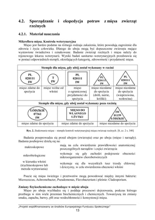 „Projekt współfinansowany ze środków Europejskiego Funduszu Społecznego”
13
4.2. Sporządzanie i ekspedycja potraw z mięsa zwierząt
rzeźnych
4.2.1. Materiał nauczania
Mikroflora mięsa. Kontrola weterynaryjna
Mięso jest bardzo podatne na różnego rodzaju zakażenia, które powodują zagrożenie dla
zdrowia i życia człowieka. Dlatego do uboju mogą być dopuszczone zwierzęta mające
wystawione świadectwa i oznakowane. Badanie zwierząt rzeźnych i mięsa należy do
rejonowego lekarza weterynarii. Wyniki badań sanitarno–weterynaryjnych przedstawia się
w postaci odpowiednich stempli, określających kategorię, zdrowotność i przydatność mięsa.
Stemple dla mięsa, gdy ubój został wykonany w rzeźni
mięso zdatne do
spożycia
mięso wolne od
włośni
mięso
o ograniczonej
przydatności do
spożycia
mięso niezdatne
do spożycia
(drób, nutrie,
króliki)
mięso niezdatne
do spożycia
(wieprzowina,
wołowina)
Stemple dla mięsa, gdy ubój został wykonany poza rzeźnią
mięso zdatne do spożycia mięso zdatne do spożycia mięso niezdatne do spożycia
Rys. 2. Znakowanie mięsa – stemple kontroli weterynaryjnej mięsa zwierząt rzeźnych. [8, cz. 2 s. 340]
Badania przeprowadza się przed ubojem (zwierzęta) oraz po uboju (mięso i narządy).
Badania poubojowe dzielą się na:
makroskopowe ⇒
mają na celu stwierdzenie prawidłowości anatomicznej
poszczególnych narządów i części zwierzęcia
mikrobiologiczne ⇒
wykonuje się gdy zachodzi podejrzenie obecności
mikroorganizmów chorobotwórczych
w kierunku włośni
(trychinoskopowe lub
metoda wytrawiania)
⇒
wykonuje się dla wszystkich tusz trzody chlewnej
i dziczyzny, w celu stwierdzenia obecności włośni
Psucie się mięsa świeżego i przetworów mogą powodować między innymi bakterie:
Micrococcus, Achromobacter, Pseudomonas, Flavobacterium i pleśnie: Cladosporium.
Zmiany fizykochemiczne zachodzące w mięsie uboju
Mięso po uboju wychładza się i poddaje procesowi dojrzewania, podczas którego
przebiega w nim wiele przemian biochemicznych i chemicznych. Towarzyszą im zmiany
smaku, zapachu, barwy, pH oraz wodochłonności i konsystencji mięsa.
PL
020111
IW
T
IW
PL
020111
IW
PL
020111
IW
PL
020111
IW
ŁÓDZKIE
07361
IW
MIĘSO DO
WŁASNEGO
UŻYTKU
IW
01159
ŁÓDZKIE
 