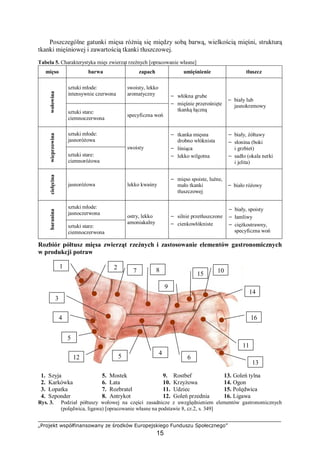 „Projekt współfinansowany ze środków Europejskiego Funduszu Społecznego”
15
Poszczególne gatunki mięsa różnią się między sobą barwą, wielkością mięśni, strukturą
tkanki mięśniowej i zawartością tkanki tłuszczowej.
Tabela 5. Charakterystyka mięs zwierząt rzeźnych [opracowanie własne]
mięso barwa zapach umięśnienie tłuszcz
sztuki młode:
intensywnie czerwona
swoisty, lekko
aromatyczny
wołowina
sztuki stare:
ciemnoczerwona
specyficzna woń
− włókna grube
− mięśnie przerośnięte
tkanką łączną
− biały lub
jasnokremowy
sztuki młode:
jasnoróżowa
wieprzowina
sztuki stare:
ciemnoróżowa
swoisty
− tkanka mięsna
drobno włóknista
− lśniąca
− lekko wilgotna
− biały, żółtawy
− słonina (boki
i grzbiet)
− sadło (okala nerki
i jelita)
cielęcina
jasnoróżowa lekko kwaśny
− mięso spoiste, luźne,
mało tkanki
tłuszczowej
− biało różowy
sztuki młode:
jasnoczerwona
baranina
sztuki stare:
ciemnoczerwona
ostry, lekko
amoniakalny
− silnie przetłuszczone
− cienkowłókniste
− biały, spoisty
− łamliwy
− ciężkostrawny,
specyficzna woń
Rozbiór półtusz mięsa zwierząt rzeźnych i zastosowanie elementów gastronomicznych
w produkcji potraw
1. Szyja 5. Mostek 9. Rostbef 13. Goleń tylna
2. Karkówka 6. Łata 10. Krzyżowa 14. Ogon
3. Łopatka 7. Rozbratel 11. Udziec 15. Polędwica
4. Szponder 8. Antrykot 12. Goleń przednia 16. Ligawa
Rys. 3. Podział półtuszy wołowej na części zasadnicze z uwzględnieniem elementów gastronomicznych
(polędwica, ligawa) [opracowanie własne na podstawie 8, cz.2, s. 349]
14
21
3
4
4
5
5
6
7 8
9
10
11
12
13
15
16
 