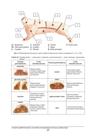 „Projekt współfinansowany ze środków Europejskiego Funduszu Społecznego”
20
1a. Karkówka 3. Antrykot 6. Udziec 9. Goleń tylna
1b. Plecówka (górka) 4. Comber 7. Ogon
2. Łopatka 5. Mostek 8. Goleń przednia
Rys. 6. Podział półtuszy baraniej na części zasadnicze [opracowanie własne na podstawie 8, cz.2, s. 352]
Tabela 10. Charakterystyka i zastosowanie elementów gastronomicznych z mięsa baraniego [opracowanie
własne]
Element
gastronomiczny
Cechy
charakterystyczne
Element gastronomiczny
Cechy
charakterystyczne
karkówka
Mięśnie cienkie,
wrośnięte między kręgi,
poprzecinane błonami
i powięziami
mostek
Cienkie płaty mięśni
poprzerastane błonami,
żebrami i tłuszczem
plecówka (górka)
Tkanka mięsna
poprzerastana błonami,
ścięgnami i tłuszczem
udziec
Mięśnie grubowłókniste,
lekko przerośnięte
błonami
antrykot
Przedłużenie mięśnia
górki: mięśnie pokryte
warstwą tłuszczu i
podwięzi
goleń przednia i tylna
Duża ilość tkanki,
chrzęstnej i ścięgnistej,
pokrytej tłuszczem
comber
Mięsień leżący wzdłuż
kręgosłupa, jednolity
soczysty, pokryty błoną
i tłuszczem
ogon
Cienkie pasemka mięśni
przerośnięte tkanką łączną
1a
1b
2
3 4
5
6
7
8 9
 