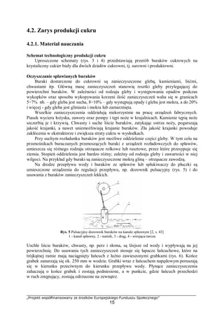 „Projekt współfinansowany ze środków Europejskiego Funduszu Społecznego”
15
4.2. Zarys produkcji cukru
4.2.1. Materiał nauczania
Schemat technologiczny produkcji cukru
Uproszczone schematy (rys. 3 i 4) przedstawiają przerób buraków cukrowych na
krystaliczny cukier biały dla dwóch działów cukrowni, tj. surowni i produktowni.
Oczyszczanie spławianych buraków
Buraki dostarczone do cukrowni są zanieczyszczone glebą, kamieniami, liśćmi,
chwastami itp. Główną masę zanieczyszczeń stanowią resztki gleby przylegającej do
powierzchni buraków. W zależności od rodzaju gleby i występowania opadów podczas
wykopków oraz sposobu wykopywania korzeni ilość zanieczyszczeń waha się w granicach
5÷7% nb. – gdy gleba jest sucha, 8÷10% – gdy występują opady i gleba jest mokra, a do 20%
i więcej - gdy gleba jest gliniasta i mokra lub zamarznięta.
Wszelkie zanieczyszczenia oddziałują niekorzystnie na pracę urządzeń fabrycznych.
Piasek wyciera łożyska, zawory oraz pompy i tępi noże w krajalnicach. Kamienie tępią noże
szczerbią je i krzywią. Chwasty i suche liście buraków, zatykając ostrza noży, pogarszają
jakość krajanki, a nawet uniemożliwiają krajanie buraków. Zła jakość krajanki powoduje
zakłócenia w ekstraktorze i zwiększa straty cukru w wysłodkach.
Przy suchym rozładunku buraków jest możliwe oddzielenie części gleby. W tym celu na
przenośnikach buraczanych przenoszących buraki z urządzeń rozładowczych do spławów,
umieszcza się różnego rodzaju otrząsacze rolkowe lub rusztowe, przez które przesypuje się
ziemia. Stopień oddzielenia jest bardzo różny; zależny od rodzaju gleby i zawartości w niej
wilgoci. Na przykład gdy buraki są zanieczyszczone mokrą gliną – otrząsacze zawodzą.
Na drodze przepływu wody i buraków ze spławów lub spłukiwaczy do płuczki są
umieszczone urządzenia do regulacji przepływu, np. dozownik pulsacyjny (rys. 5) i do
usuwania z buraków zanieczyszczeń lekkich.
Rys. 5 Pulsacyjny dozownik buraków na kanale spławnym [2, s. 43]
1 - kanał spławny, 2 - nurnik, 3 - drąg, 4 - wirująca tarcza
Uschłe liście buraków, chwasty, np. perz i słoma, są lżejsze od wody i wypływają na jej
powierzchnię. Do usuwania tych zanieczyszczeń stosuje się łapacze łańcuchowe, które na
trójkątnej ramie mają naciągnięty łańcuch z luźno zawieszonymi grabkami (rys. 6). Końce
grabek zanurzają się ok. 250 mm w wodzie. Grabki wraz z łańcuchem napędowym poruszają
się w kierunku przeciwnym do kierunku przepływu wody. Płynące zanieczyszczenia
zahaczają o końce grabek i zostają podniesione, a w punkcie, gdzie łańcuch przechodzi
w ruch zstępujący, zostają odrzucone na zewnątrz.
 