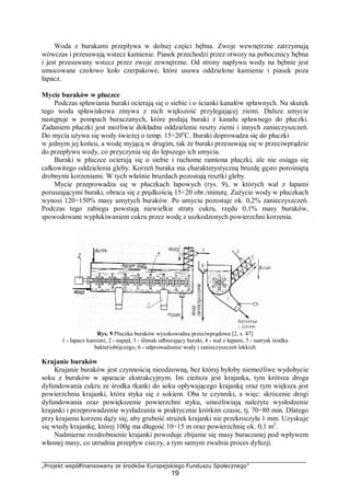 „Projekt współfinansowany ze środków Europejskiego Funduszu Społecznego”
19
Woda z burakami przepływa w dolnej części bębna. Zwoje wewnętrzne zatrzymują
wówczas i przesuwają wstecz kamienie. Piasek przechodzi przez otwory na pobocznicy bębna
i jest przesuwany wstecz przez zwoje zewnętrzne. Od strony napływu wody na bębnie jest
umocowane czołowo koło czerpakowe, które usuwa oddzielone kamienie i piasek poza
łapacz.
Mycie buraków w płuczce
Podczas spławiania buraki ocierają się o siebie i o ścianki kanałów spławnych. Na skutek
tego woda spławiakowa zmywa z nich większość przylegającej ziemi. Dalsze umycie
następuje w pompach buraczanych, które podają buraki z kanału spławnego do płuczki.
Zadaniem płuczki jest możliwie dokładne oddzielenie reszty ziemi i innych zanieczyszczeń.
Do mycia używa się wody świeżej o temp. 15÷20o
C. Buraki doprowadza się do płuczki
w jednym jej końcu, a wodę myjącą w drugim, tak że buraki przesuwają się w przeciwprądzie
do przepływu wody, co przyczynia się do lepszego ich umycia.
Buraki w płuczce ocierają się o siebie i ruchome ramiona płuczki, ale nie osiąga się
całkowitego oddzielenia gleby. Korzeń buraka ma charakterystyczną bruzdę gęsto porośniętą
drobnymi korzeniami. W tych właśnie bruzdach pozostają resztki gleby.
Mycie przeprowadza się w płuczkach łapowych (rys. 9), w których wał z łapami
poruszającymi buraki, obraca się z prędkością 15÷20 obr./minutę. Zużycie wody w płuczkach
wynosi 120÷150% masy umytych buraków. Po umyciu pozostaje ok. 0,2% zanieczyszczeń.
Podczas tego zabiegu powstają niewielkie straty cukru, rzędu 0,1% masy buraków,
spowodowane wypłukiwaniem cukru przez wodę z uszkodzonych powierzchni korzenia.
Rys. 9 Płuczka buraków wysokowodna przeciwprądowa [2, s. 47]
1 - łapacz kamieni, 2 - napęd, 3 - ślimak odbierający buraki, 4 - wał z łapami, 5 - natrysk środka
bakteriobójczego, 6 - odprowadzenie wody i zanieczyszczeń lekkich
Krajanie buraków
Krajanie buraków jest czynnością nieodzowną, bez której byłoby niemożliwe wydobycie
soku z buraków w aparacie ekstrakcyjnym. Im cieńsza jest krajanka, tym krótsza droga
dyfundowania cukru ze środka tkanki do soku opływającego krajankę oraz tym większa jest
powierzchnia krajanki, która styka się z sokiem. Oba te czynniki, a więc: skrócenie drogi
dyfundowania oraz powiększenie powierzchni styku, umożliwiają należyte wysłodzenie
krajanki i przeprowadzenie wysładzania w praktycznie krótkim czasie, tj. 70÷80 min. Dlatego
przy krajaniu korzeni dąży się, aby grubość strużek krajanki nie przekroczyła 1 mm. Uzyskuje
się wtedy krajankę, której 100g ma długość 10÷15 m oraz powierzchnię ok. 0,1 m2
.
Nadmierne rozdrobnienie krajanki powoduje zbijanie się masy buraczanej pod wpływem
własnej masy, co utrudnia przepływ cieczy, a tym samym zwalnia proces dyfuzji.
 