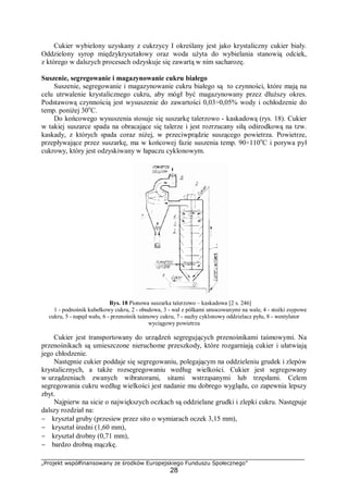 „Projekt współfinansowany ze środków Europejskiego Funduszu Społecznego”
28
Cukier wybielony uzyskany z cukrzycy I określany jest jako krystaliczny cukier biały.
Oddzielony syrop międzykryształowy oraz woda użyta do wybielania stanowią odciek,
z którego w dalszych procesach odzyskuje się zawartą w nim sacharozę.
Suszenie, segregowanie i magazynowanie cukru białego
Suszenie, segregowanie i magazynowanie cukru białego są to czynności, które mają na
celu utrwalenie krystalicznego cukru, aby mógł być magazynowany przez dłuższy okres.
Podstawową czynnością jest wysuszenie do zawartości 0,03÷0,05% wody i ochłodzenie do
temp. poniżej 30o
C.
Do końcowego wysuszenia stosuje się suszarkę talerzowo - kaskadową (rys. 18). Cukier
w takiej suszarce spada na obracające się talerze i jest rozrzucany siłą odśrodkową na tzw.
kaskady, z których spada coraz niżej, w przeciwprądzie suszącego powietrza. Powietrze,
przepływające przez suszarkę, ma w końcowej fazie suszenia temp. 90÷110o
C i porywa pył
cukrowy, który jest odzyskiwany w łapaczu cyklonowym.
Rys. 18 Pionowa suszarka talerzowo – kaskadowa [2 s. 246]
1 - podnośnik kubełkowy cukru, 2 - obudowa, 3 - wał z pólkami umocowanymi na wale, 4 - stożki zsypowe
cukru, 5 - napęd wału, 6 - przenośnik taśmowy cukru, 7 - suchy cyklonowy oddzielacz pyłu, 8 - wentylator
wyciągowy powietrza
Cukier jest transportowany do urządzeń segregujących przenośnikami taśmowymi. Na
przenośnikach są umieszczone nieruchome przeszkody, które rozgarniają cukier i ułatwiają
jego chłodzenie.
Następnie cukier poddaje się segregowaniu, polegającym na oddzieleniu grudek i zlepów
krystalicznych, a także rozsegregowaniu według wielkości. Cukier jest segregowany
w urządzeniach zwanych wibratorami, sitami wstrząsanymi lub trzęsłami. Celem
segregowania cukru według wielkości jest nadanie mu dobrego wyglądu, co zapewnia lepszy
zbyt.
Najpierw na sicie o największych oczkach są oddzielane grudki i zlepki cukru. Następuje
dalszy rozdział na:
− kryształ gruby (przesiew przez sito o wymiarach oczek 3,15 mm),
− kryształ średni (1,60 mm),
− kryształ drobny (0,71 mm),
− bardzo drobną mączkę.
 