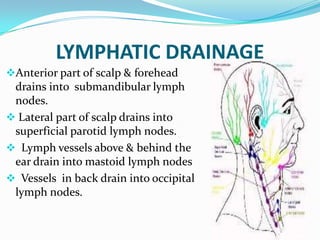 LYMPHATIC DRAINAGE
Anterior part of scalp & forehead
 drains into submandibular lymph
 nodes.
 Lateral part of scalp drains into
 superficial parotid lymph nodes.
 Lymph vessels above & behind the
 ear drain into mastoid lymph nodes
 Vessels in back drain into occipital
 lymph nodes.
 