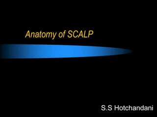 Anatomy of SCALP




                   S.S Hotchandani
 