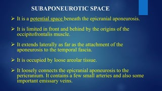 SUBAPONEUROTIC SPACE
 It is a potential space beneath the epicranial aponeurosis.
 It is limited in front and behind by the origins of the
occipitofrontalis muscle.
 It extends laterally as far as the attachment of the
aponeurosis to the temporal fascia.
 It is occupied by loose areolar tissue.
 It loosely connects the epicranial aponeurosis to the
pericranium. It contains a few small arteries and also some
important emissary veins.
 