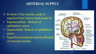 ARTERIAL SUPPLY
 In front of the auricle, scalp is
supplied from before backwards by
• Supratrochlear - Branch of
ophthalmic artery.
• Supraorbital- Branch of ophthalmic
artery.
• Superficial temporal arteries-Branch
of external carotid.
 