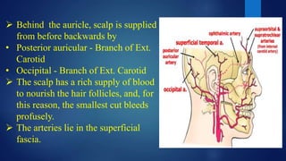  Behind the auricle, scalp is supplied
from before backwards by
• Posterior auricular - Branch of Ext.
Carotid
• Occipital - Branch of Ext. Carotid
 The scalp has a rich supply of blood
to nourish the hair follicles, and, for
this reason, the smallest cut bleeds
profusely.
 The arteries lie in the superficial
fascia.
 