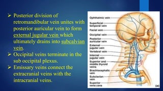  Posterior division of
retromandibular vein unites with
posterior auricular vein to form
external jugular vein which
ultimately drains into subcalvian
vein.
 Occipital veins terminate in the
sub occipital plexus.
 Emissary veins connect the
extracranial veins with the
intracranial veins.
 