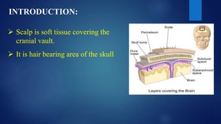  Scalp is soft tissue covering the
cranial vault.
INTRODUCTION:
 It is hair bearing area of the skull
 