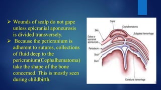 Wounds of scalp do not gape
unless epicranial aponeurosis
is divided transversely.
 Because the pericranium is
adherent to sutures, collections
of fluid deep to the
pericranium(Cephalhematoma)
take the shape of the bone
concerned. This is mostly seen
during childbirth.
 