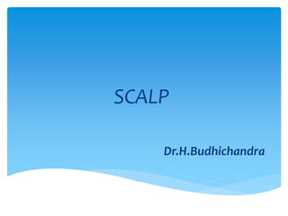 SCALP
Dr.H.Budhichandra
 