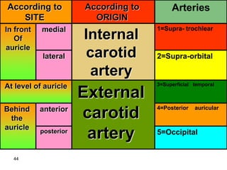 Anatomy of SCALP and its blood and nerve supply.ppt