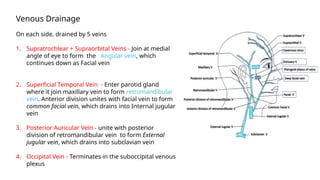 Venous Drainage
On each side, drained by 5 veins
1. Supratrochlear + Supraorbital Veins - Join at medial
angle of eye to form the Angular vein, which
continues down as Facial vein
2. Superficial Temporal Vein - Enter parotid gland
where it join maxillary vein to form retromandibular
vein. Anterior division unites with facial vein to form
common facial vein, which drains into Internal jugular
vein
3. Posterior Auricular Vein - unite with posterior
division of retromandibular vein to form External
jugular vein, which drains into subclavian vein
4. Occipital Vein - Terminates in the suboccipital venous
plexus
 