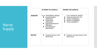 Nerve
Supply
IN FRONT OF AURICLE BEHIND THE AURICLE
SENSORY From TRIGEMINAL NERVE
● Supratroachlear
(Opthalmic)
● Supraorbital
(Opthalmic)
● Zygomaticotemporal
(Maxillary)
● Auricotemporal
(Mandibular)
From CERVICAL NERVE
● Great auricular (C2 ,C3)
● Lesser occipital(C2)
● Greater occipital(C2)
● Third occipital(C3)
MOTOR ● Temporal branch of the
facial nerve
● Posterior auricular branch of the
facial nerve
 