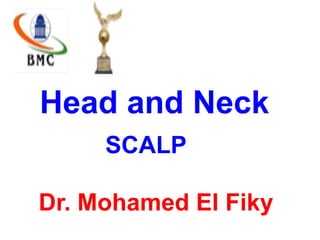 Head and Neck
SCALP
Dr. Mohamed El Fiky
 