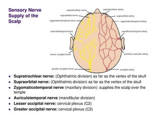 Sensory Nerve
Supply of the
Scalp
Supratrochlear nerve: (Ophthalmic division) as far as the vertex of the skull
Supraorbital nerve: (Ophthalmic division) as far as the vertex of the skull
Zygomaticotemporal nerve (maxillary division): supplies the scalp over the
temple
Auriculotemporal nerve (mandibular division)
Lesser occipital nerve: cervical plexus (C2)
Greater occipital nerve: cervical plexus (C2)
 