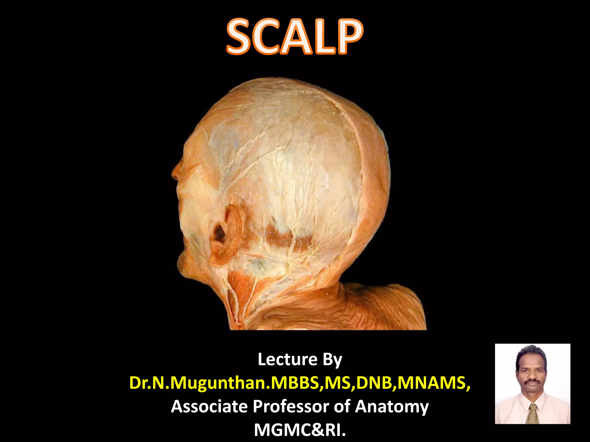 Lecture By
Dr.N.Mugunthan.MBBS,MS,DNB,MNAMS,
Associate Professor of Anatomy
MGMC&RI.
 