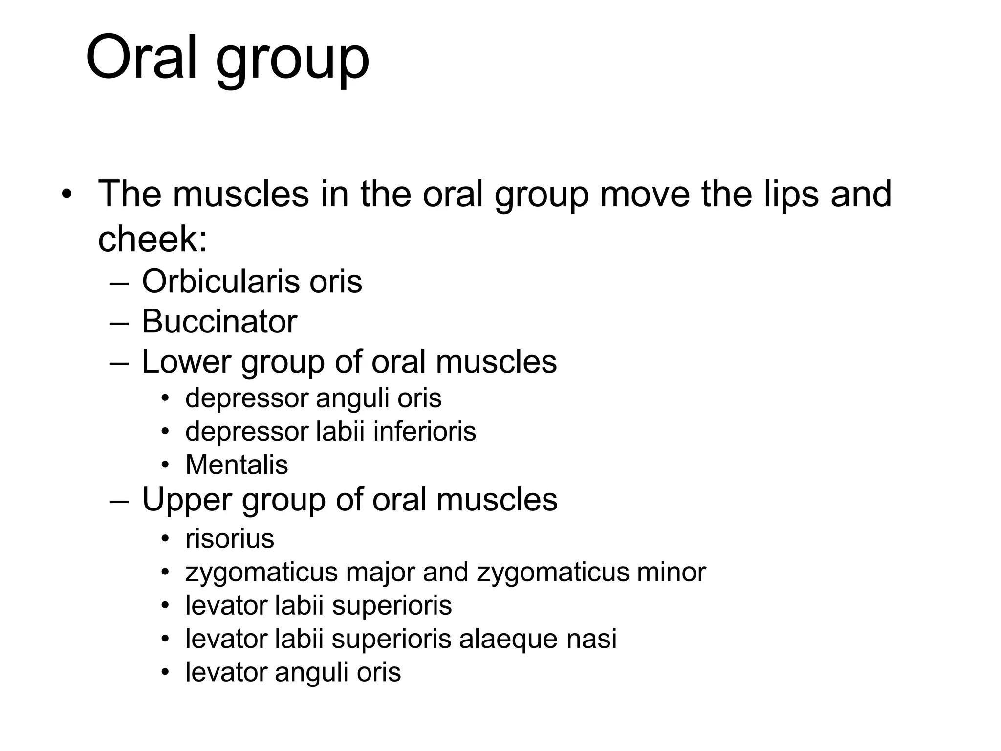 Oral group
• The muscles in the oral group move the lips and
cheek:
– Orbicularis oris
– Buccinator
– Lower group of oral muscles
• depressor anguli oris
• depressor labii inferioris
• Mentalis
– Upper group of oral muscles
• risorius
• zygomaticus major and zygomaticus minor
• levator labii superioris
• levator labii superioris alaeque nasi
• levator anguli oris
 