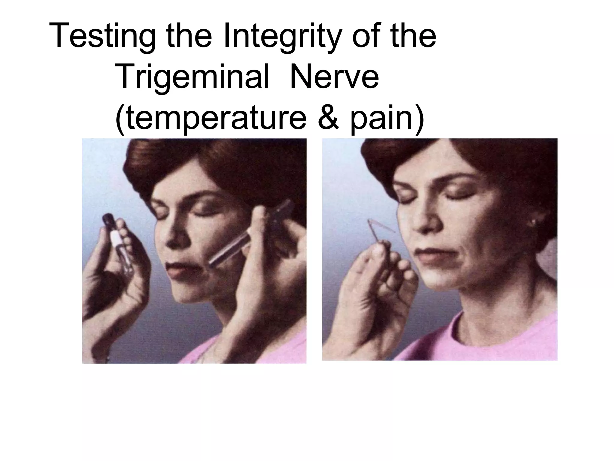 Testing the Integrity of the
Trigeminal Nerve
(temperature & pain)
 