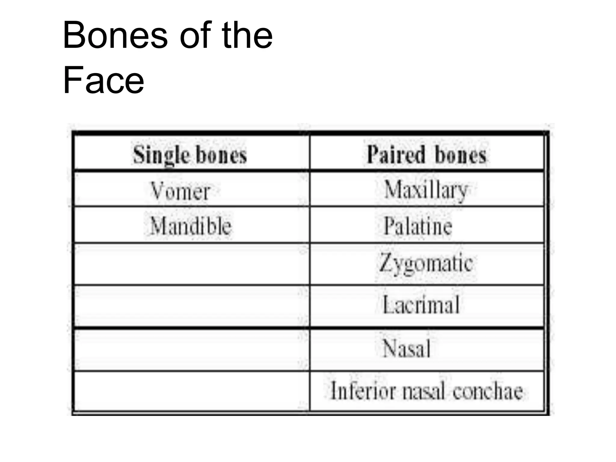 Bones of the
Face
 