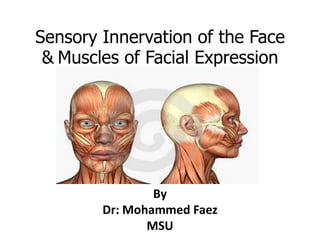 Sensory Innervationof the Face &Muscles of Facial Expression By Dr: Mohammed Faez MSU 