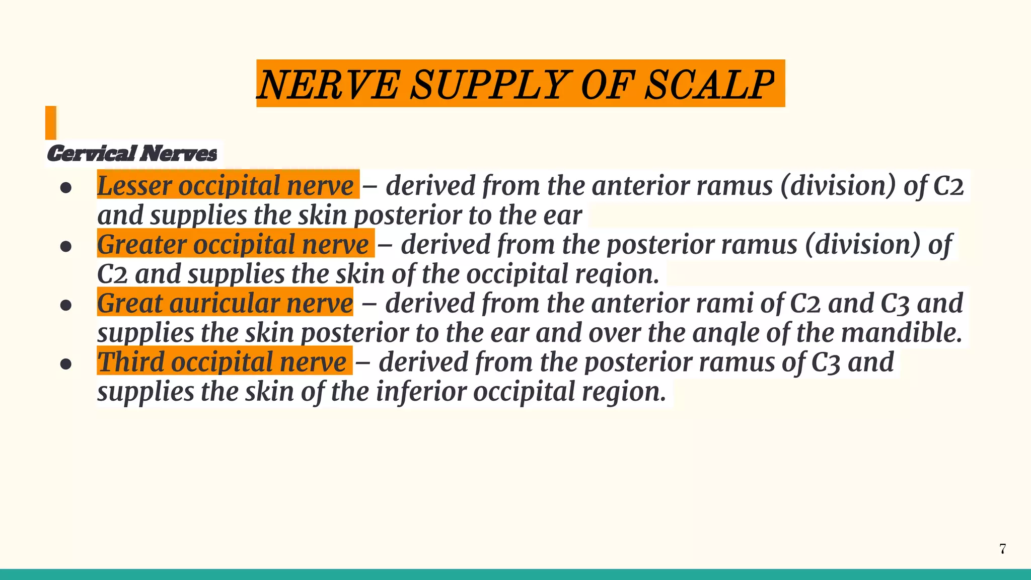 Scalp : Nerve & Blood Supply . | PPTX