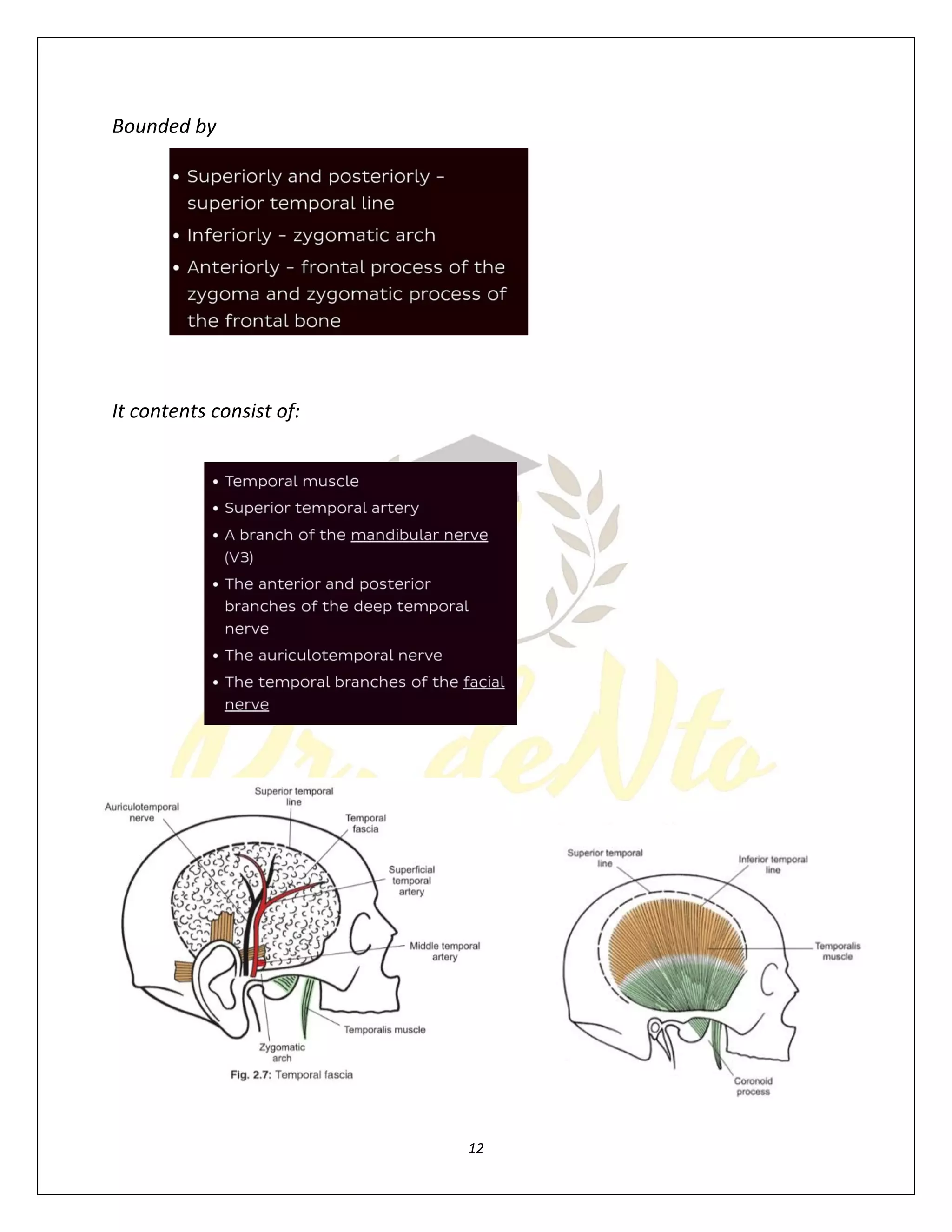 PARTS OF THE SCALP A GUIDE TO THE ANATOMY MECHANICS AND NEW visual data 3