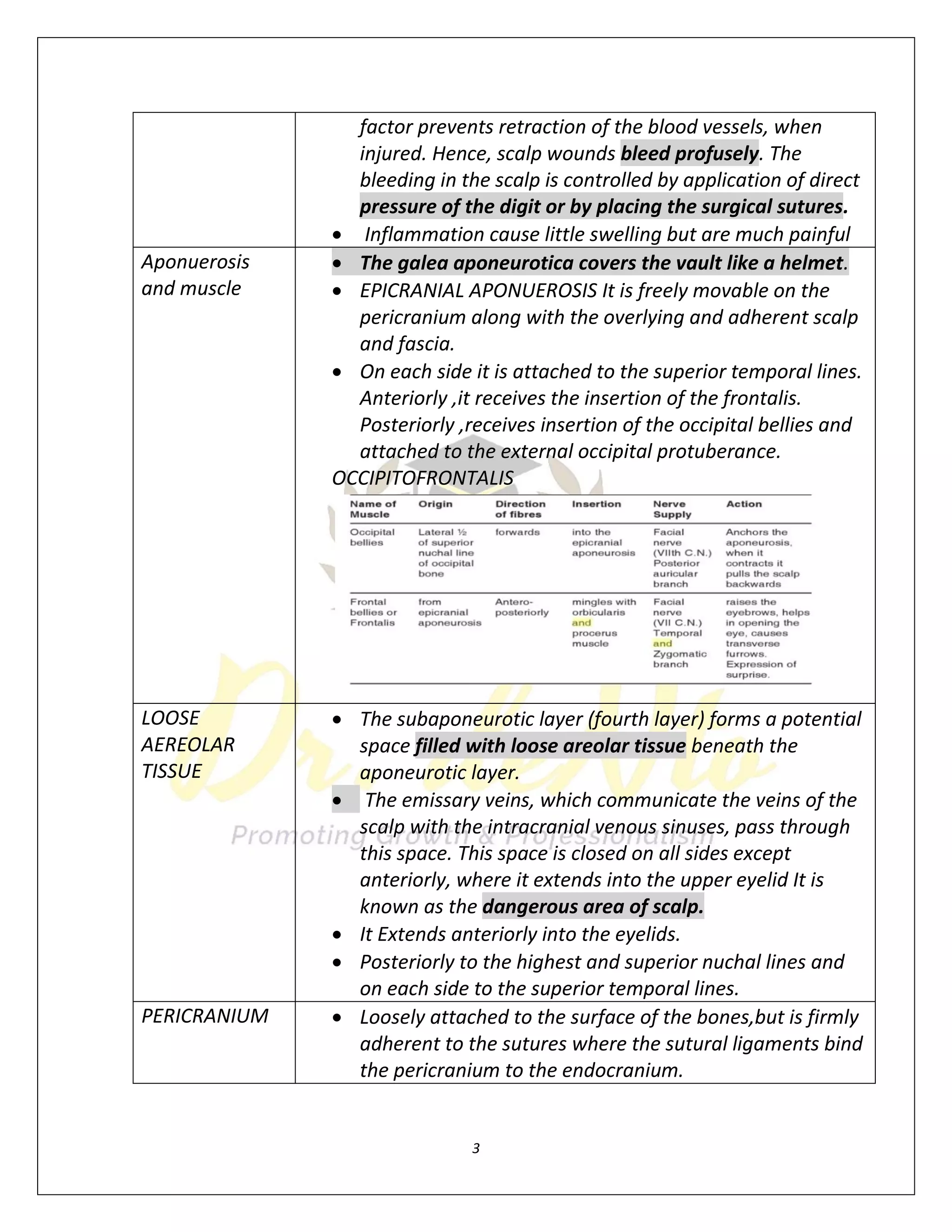 PARTS OF THE SCALP A GUIDE TO THE ANATOMY MECHANICS AND NEW visual data 3