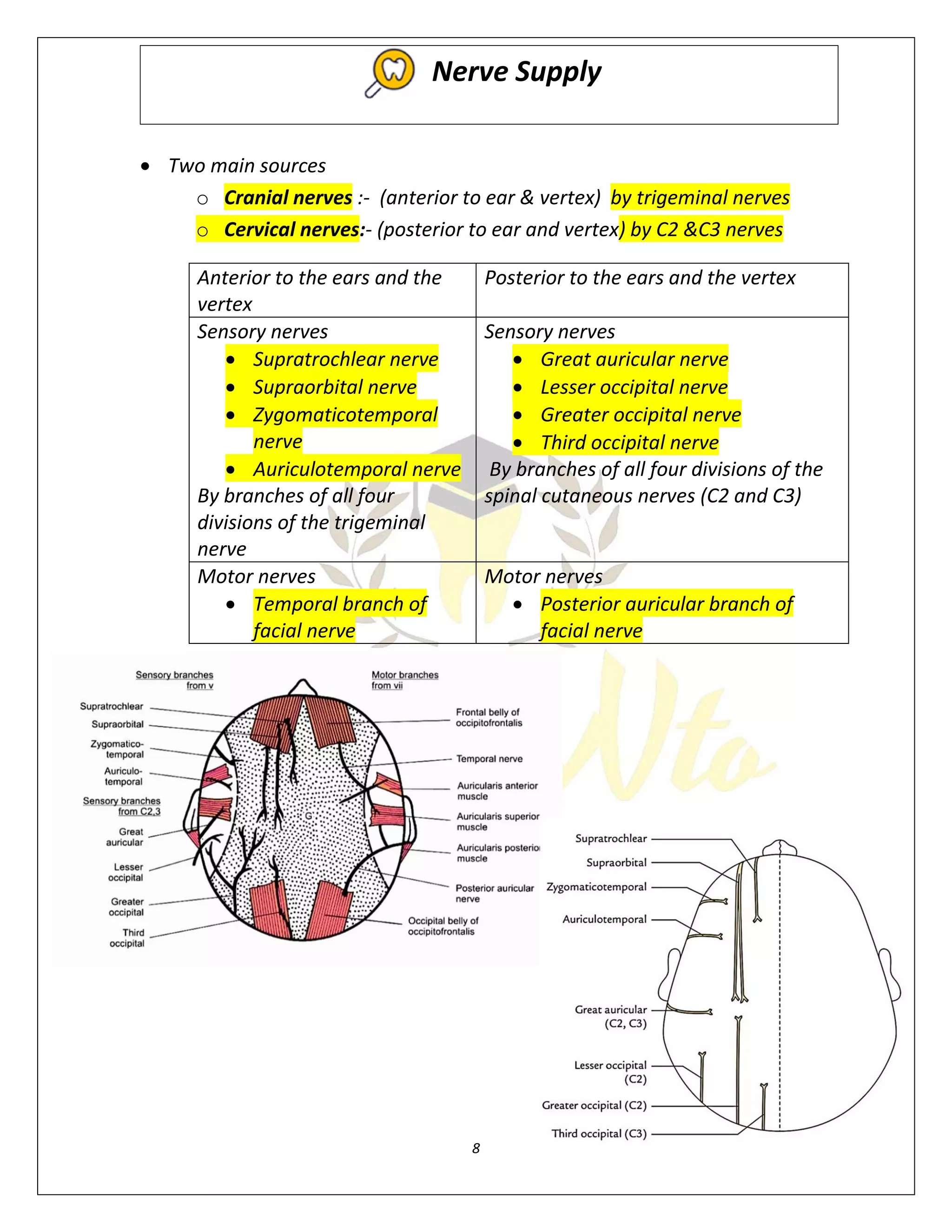 Scalp Anatomy Pdf
