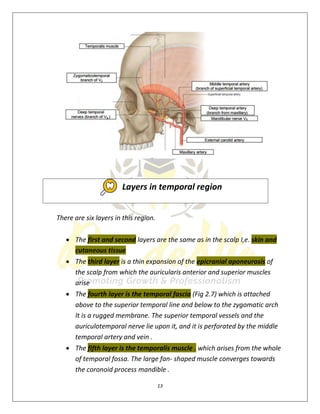 13
There are six layers in this region.
 The first and second layers are the same as in the scalp I,e. skin and
cutaneous tissue
 The third layer is a thin expansion of the epicranial aponeurosis of
the scalp from which the auricularis anterior and superior muscles
arise
 The fourth layer is the temporal fascia (Fig 2.7) which is attached
above to the superior temporal line and below to the zygomatic arch
It is a rugged membrane. The superior temporal vessels and the
auriculotemporal nerve lie upon it, and it is perforated by the middle
temporal artery and vein .
 The fifth layer is the temporalis muscle . which arises from the whole
of temporal fossa. The large fan- shaped muscle converges towards
the coronoid process mandible .
Layers in temporal region
 